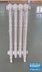 Радиатор чугунный Exemet Fidelia 800/640 1 секция — миниатюра 5