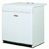 Напольные газовые котлы Ferroli Pegasus 2S