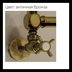 Полотенцесушитель водяной IRSAP Minuette 960/540 CL.54 T01 6 трубок бронза — миниатюра 3