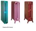 Радиатор чугунный Retro Style TROY 600 1 секция — миниатюра 9
