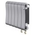 Радиатор биметаллический Royal Thermo Infinity 300 Silver Satin VR80 - 6 секц. — миниатюра 1