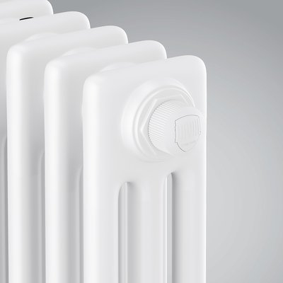 Радиатор стальной трубчатый Royal Thermo Insignia VC3180 - 06 секц. RAL9016 — фото 2