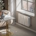 Радиатор биметаллический Royal Thermo PianoForte 300 Серебристый - 10 секц. — миниатюра 6