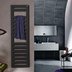 Полотенцесушитель электрический Zehnder Metropolitan Spa METE-120-050/GD черный — миниатюра 1